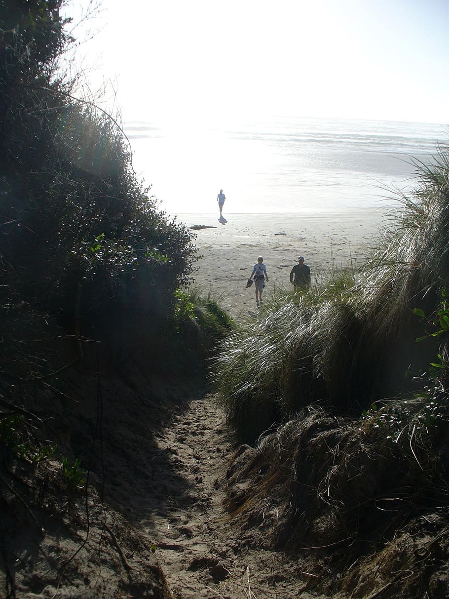 ocean, beach, path, sand, nature, coast, shore, coastline, sky HD wallpaper