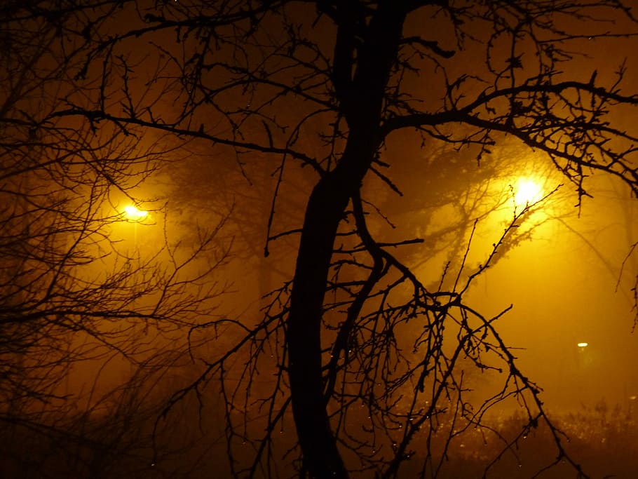 Fog, Night, Light, Lamps, Gloomy, Creepy, blacked out, slurry HD wallpaper