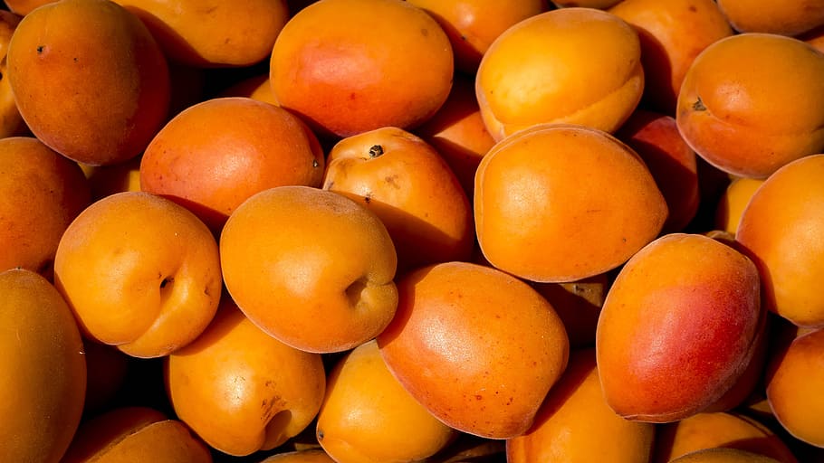 shallow focus photography of orange fruit lot, round orange fruit lot HD wallpaper