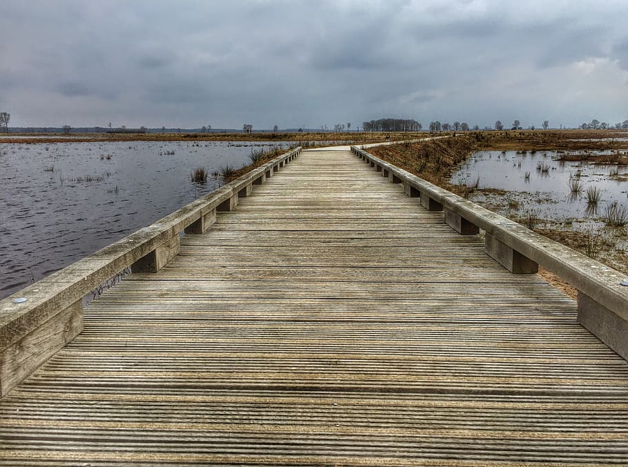 drenthe, dwingelderveld, water, sky, cloud - sky, nature, direction HD wallpaper