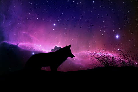 silhouette of wolf, magical, space, design, fantasy, cosmic HD wallpaper