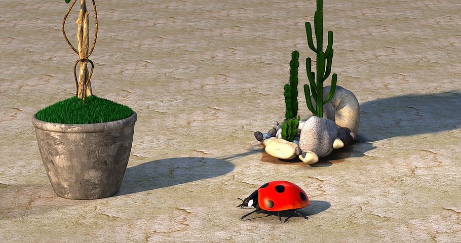 ladybug near cactus plant, beetle, garden, stones, mosaic, 3d
