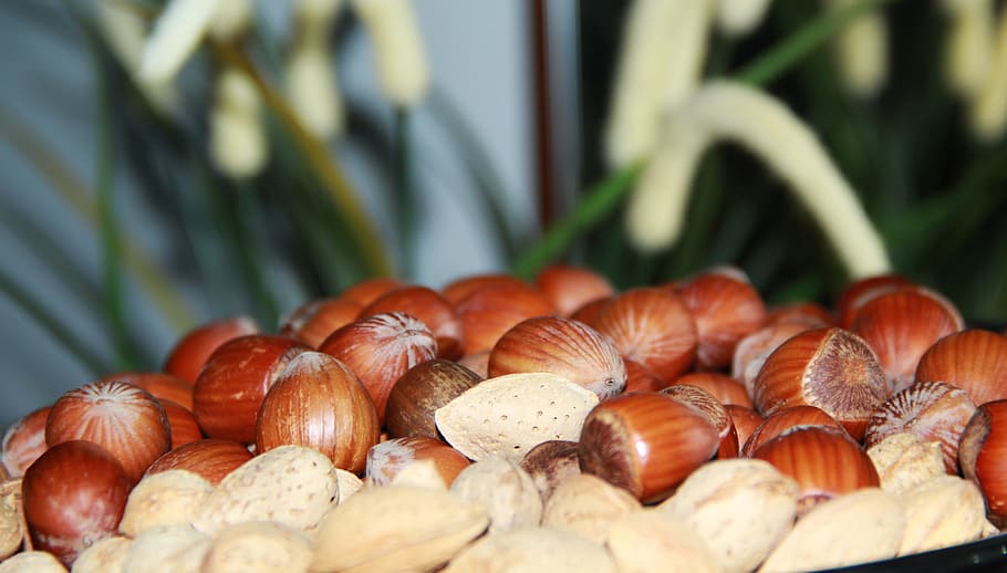 seeds, snack, baked, food, food and drink, nut, healthy eating HD wallpaper