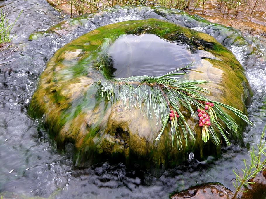 well, water, spring, creek, moss, for, jet, transparent, source HD wallpaper