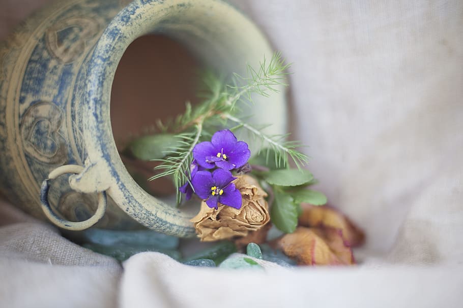 purple commelinaceae flower in vase, background, krupnyj plan HD wallpaper
