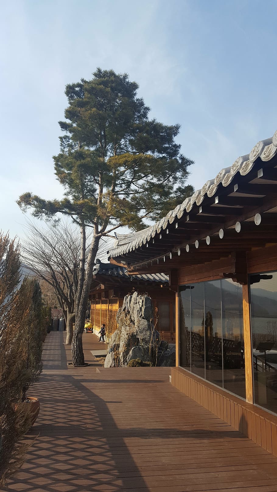 yangzhou only palace, pine, hanok, architecture, built structure HD wallpaper