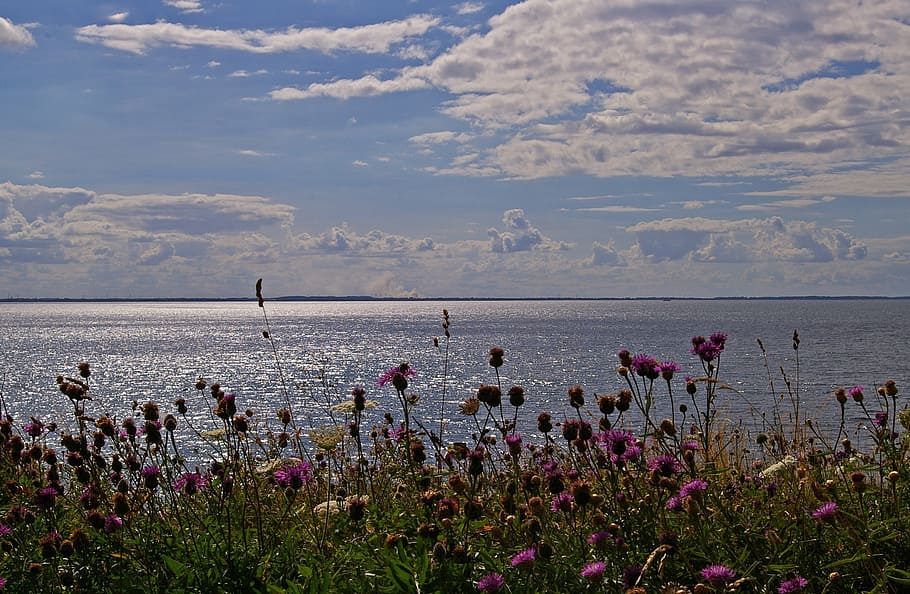 denmark, danish coast, island, fyns hoved, baltic sea, danish baltic