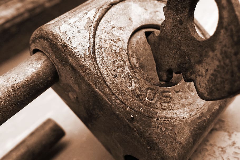 castle, sprout, cuttle, detail, sign, rusty, old, art and craft HD wallpaper