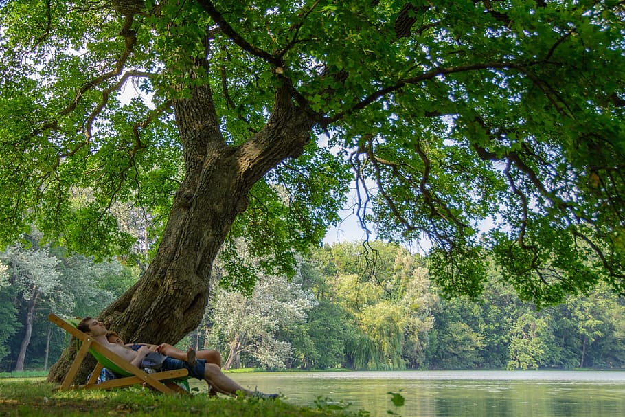 man lying on wooden folding lounge near the body of water under the tree during daytime HD wallpaper