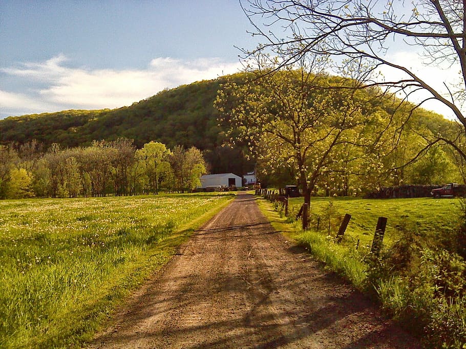 Minnesota, Spring, Driveway, Hill, nature, landscape, scenic HD wallpaper