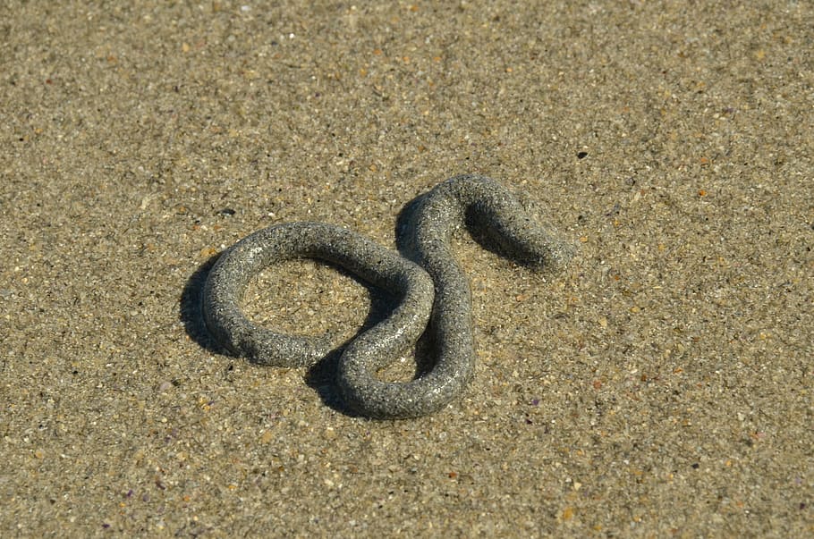 sand, beach, worm, hose, pendulum, strange, high angle view HD wallpaper