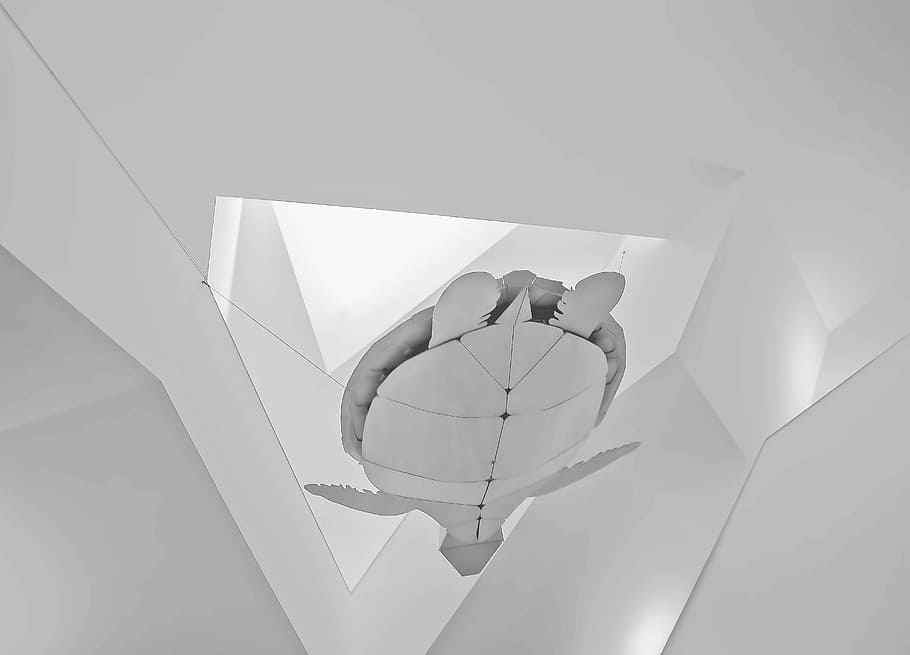 turtle cutout paper wall decor, architecture, white, flying HD wallpaper