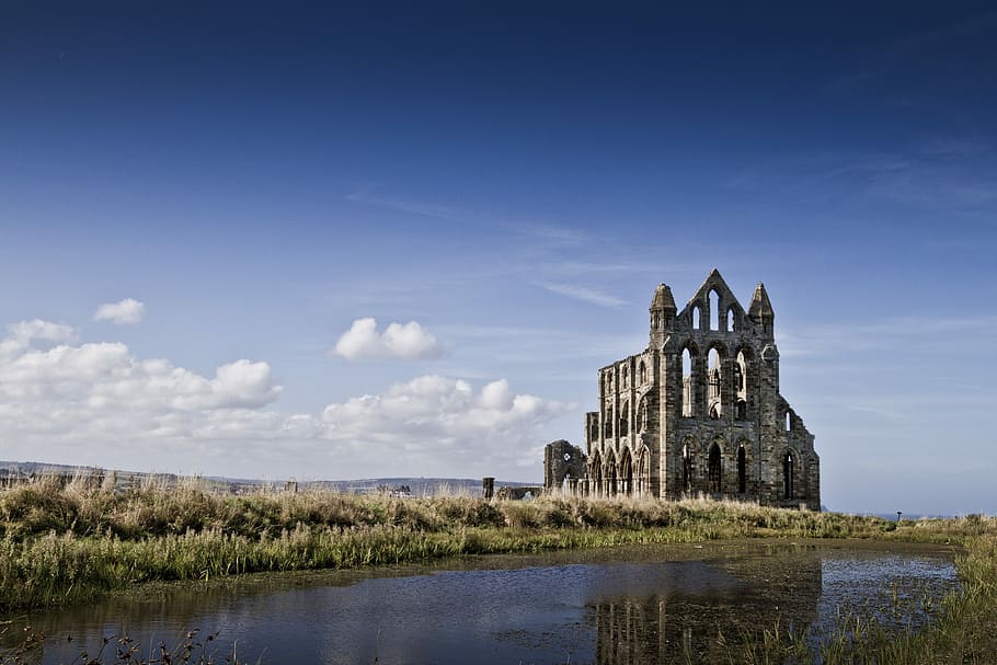 low-angle photography of brown and black concrete building near body of water, gray and black concrete castle surrounded by plants under blue and white sky at daytime HD wallpaper