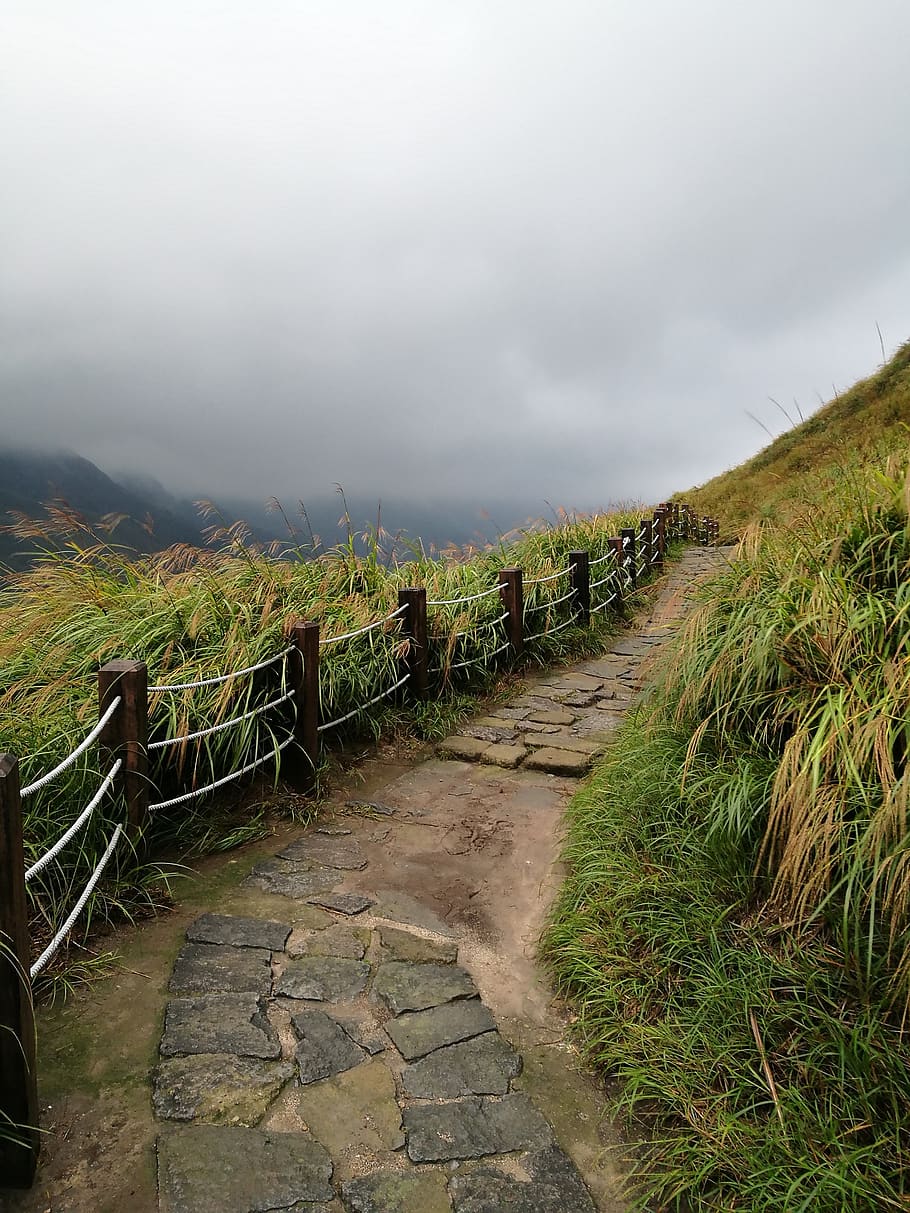 mountain, the scenery, cloud, sky, cloud - sky, plant, direction HD wallpaper