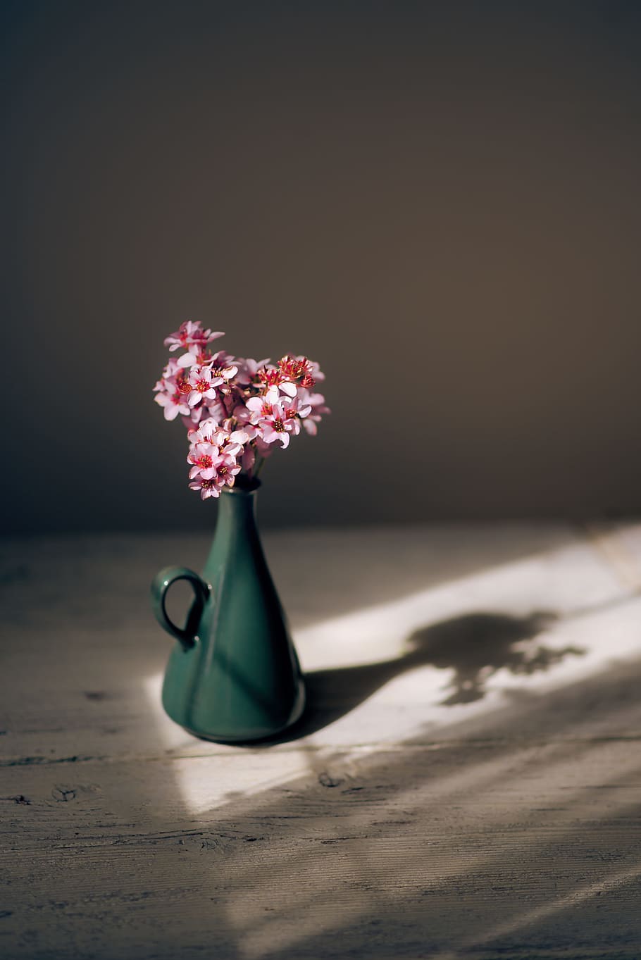 pink petaled flowers centerpiece, untitled, vase, nature, bouquet HD wallpaper