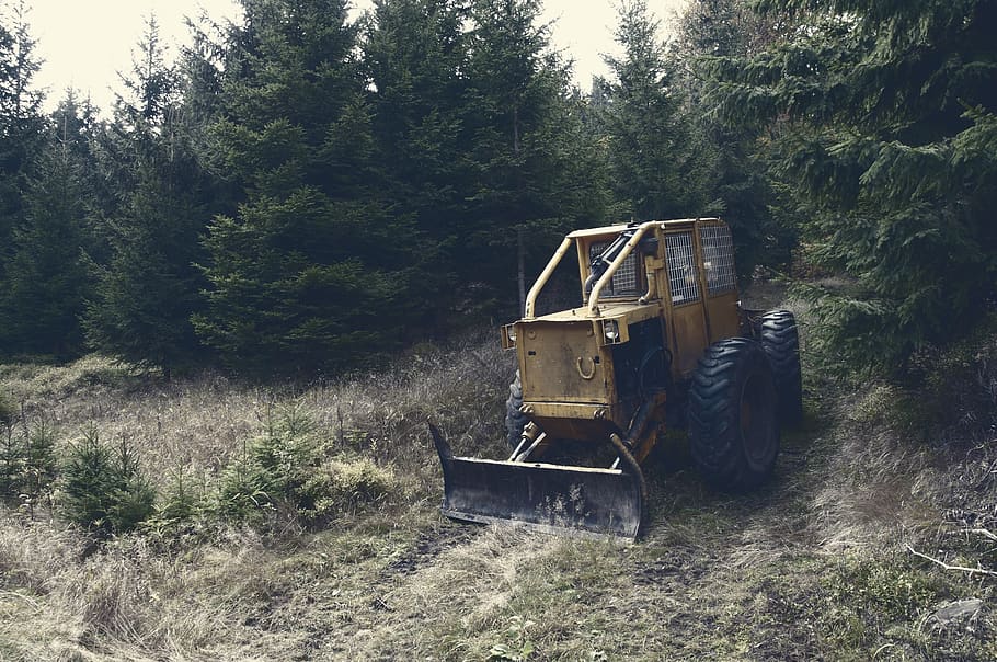 backhoe, tractor, construction, rural, trees, grass, plant HD wallpaper