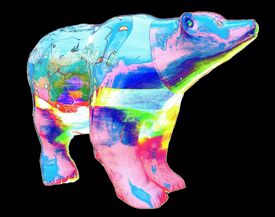 bear, colorful, abstract, creative, black background, multi colored HD wallpaper