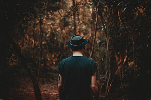 man wearing black hat walking on forest during daytime, person walking towards forest HD wallpaper