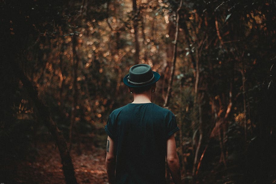 man wearing black hat walking on forest during daytime, person walking towards forest HD wallpaper