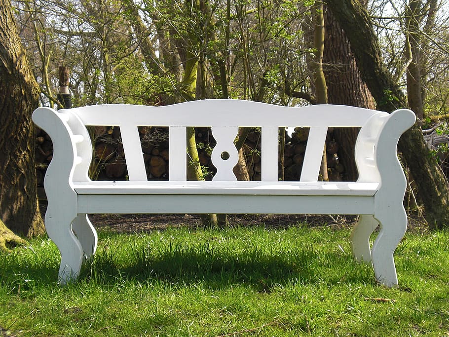 bank, white, meadow, plant, tree, grass, seat, nature, empty HD wallpaper