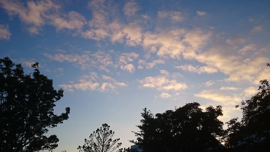 trees, clouds, blue sky, plant, cloud - sky, silhouette, beauty in nature HD wallpaper