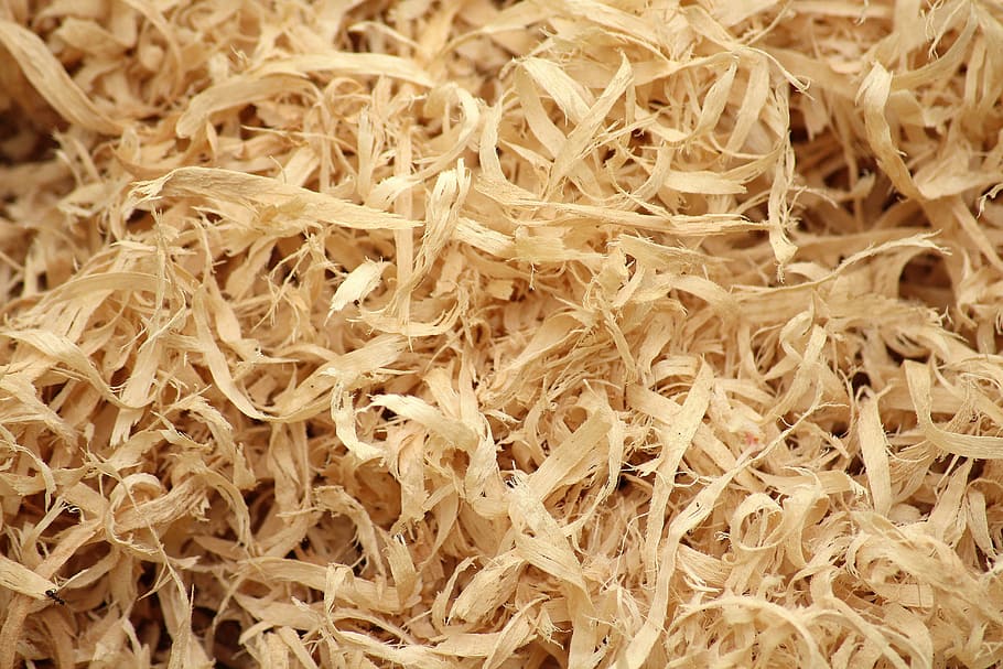photo of wood chunk lot during daytime, shavings, tree, sawdust HD wallpaper