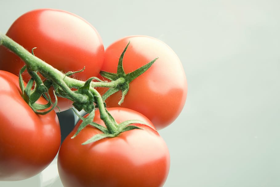 four red tomatoes, bush tomato, vegetables, food, vegetarian HD wallpaper
