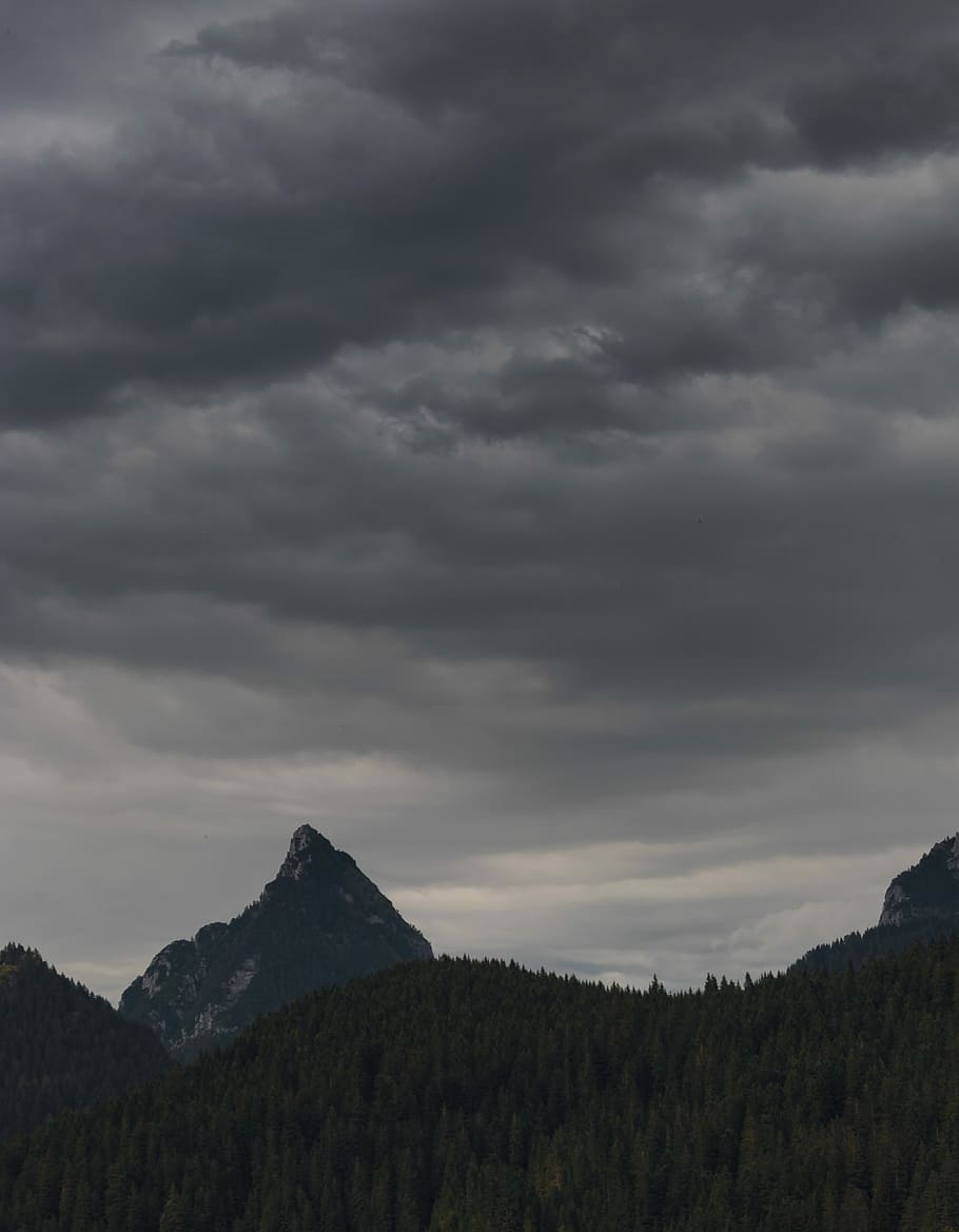 pine trees on mountain slope under dark clouds, green mountain under cloudy sky HD wallpaper