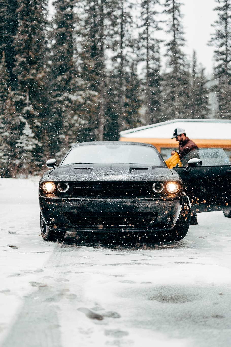 selective focus photo of person beside car during winter, man near opened black Dodge Challenger on snowfield