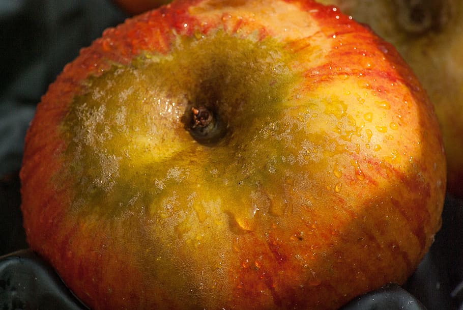 fruit, apple, fall, food and drink, healthy eating, wellbeing HD wallpaper