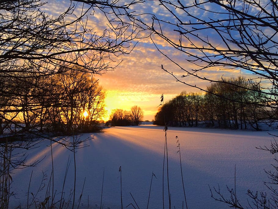 snow field, winter sun, wintry, cold, back light, landscape HD wallpaper