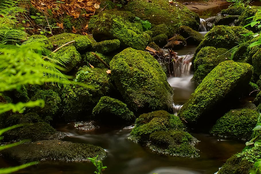 waterfalls surrounded by stones and plants, forest, stream HD wallpaper