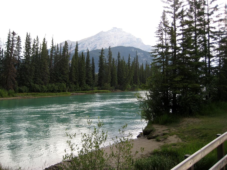 river, river bank, nature, beauty in nature, water, mountain HD wallpaper