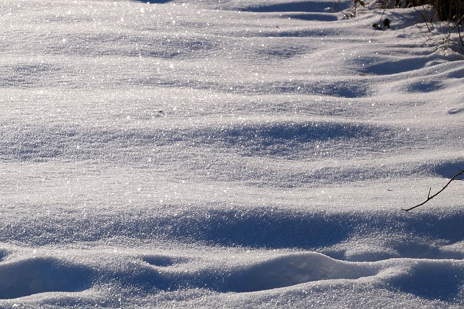 Snow, Flake, Winter, Cold, january 2016, backgrounds, full frame HD wallpaper