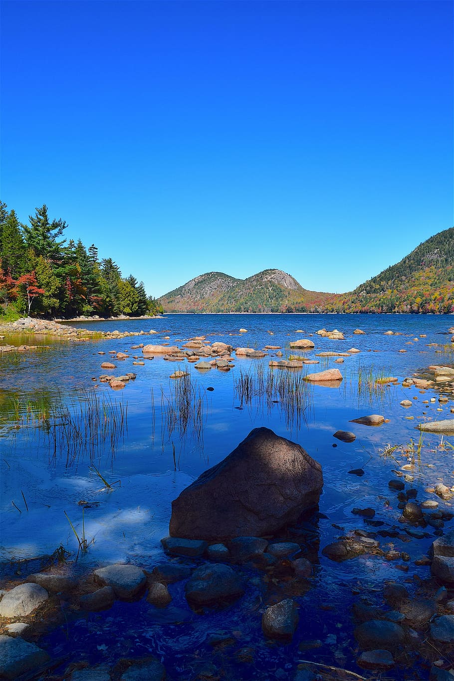 lake, shore, rocks, trees, mountains, water, nature, landscape HD wallpaper