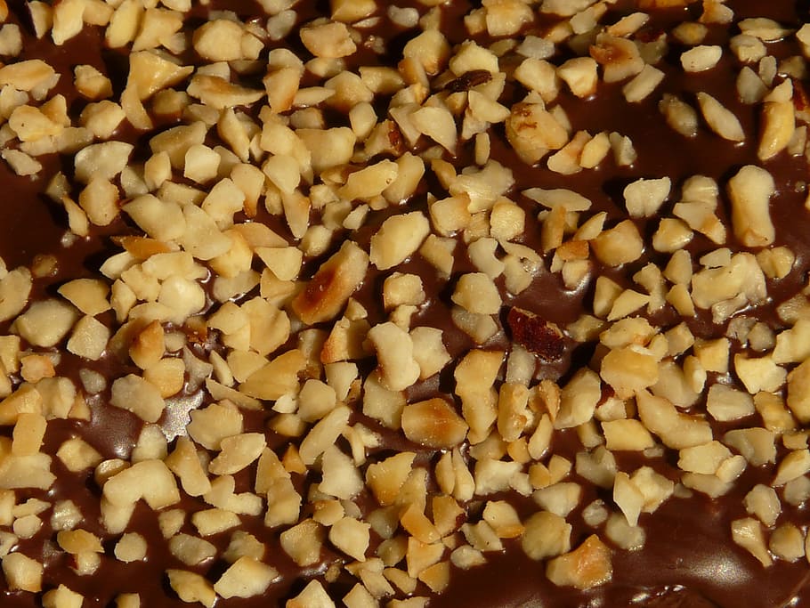 hazelnut cake, schokoguss, hazelnuts, eat, bake, dessert, sweet HD wallpaper