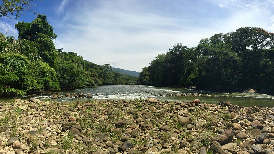 river, landscape, nature, water, forest, outdoor, natural, scenery HD wallpaper
