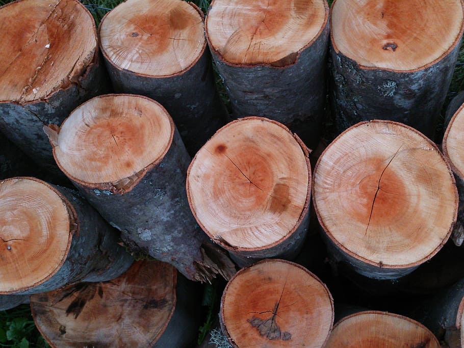 trunk, wood, pine, full frame, backgrounds, stack, log, timber HD wallpaper