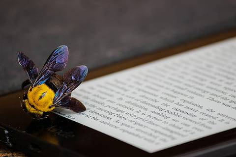 yellow and purple bumble bee on Kindle E-book reader, macro photograph of bee on Kindle eBook reader HD wallpaper