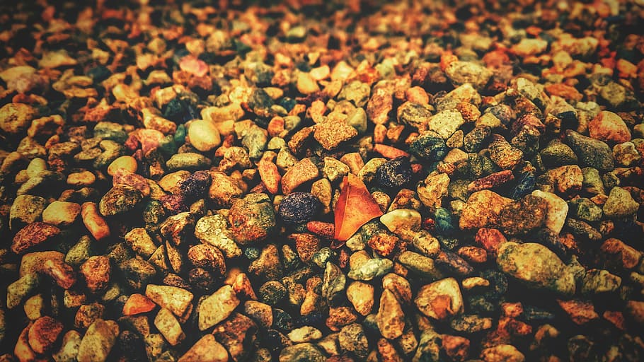 food, desktop, pattern, vegetable, color, nature, season, many HD wallpaper