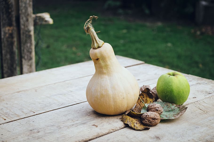 pumpkin, apple, autumn, outside, outdoors, desk, garden, harvest HD wallpaper