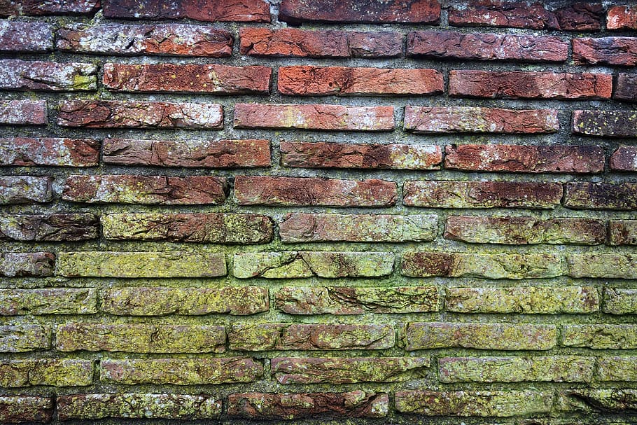 brick wall, mold, moldy brick wall, red brick wall, masonry, HD wallpaper