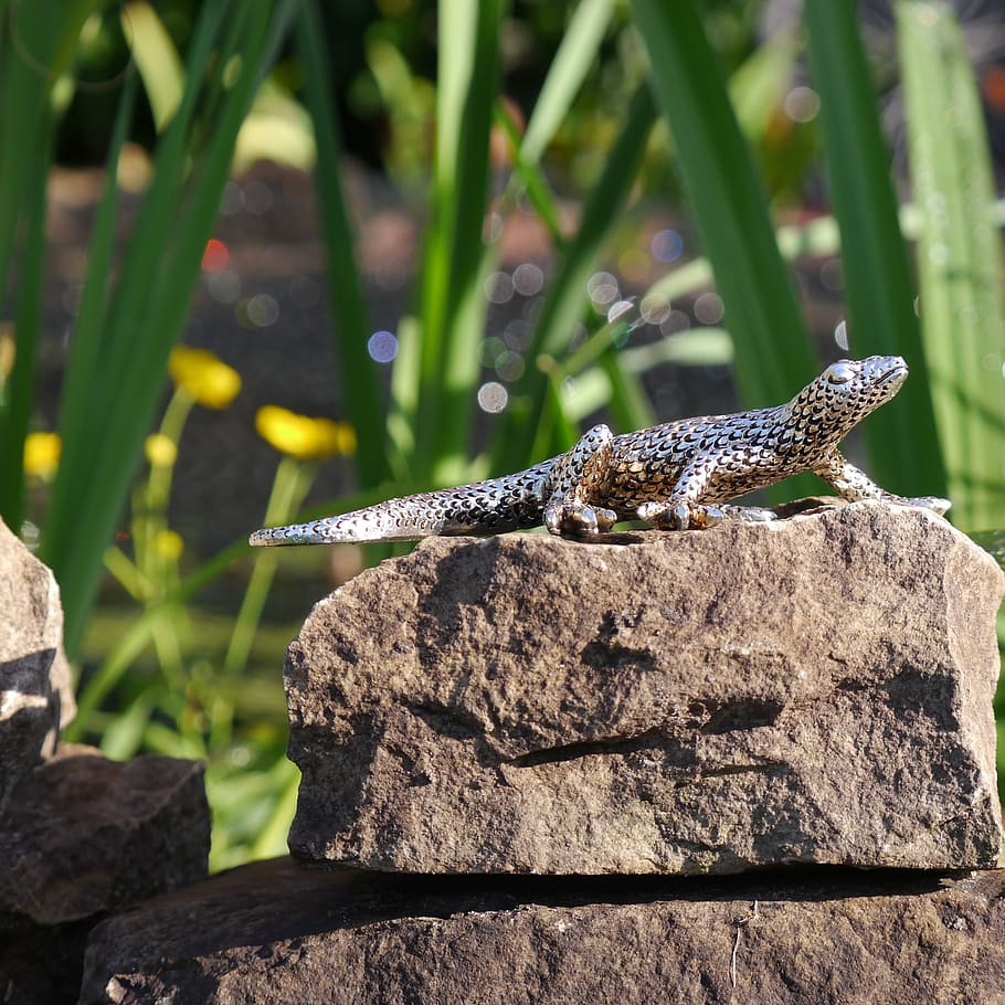 gecko, silver, decoration, one animal, animal themes, reptile HD wallpaper