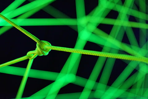 elastic, green, black, fluo, abstract, node, animal themes HD wallpaper