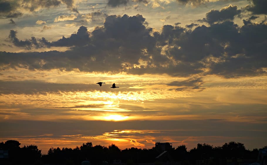 sunset, evening, clouds, silhouette, light, bright, dusk, sky HD wallpaper