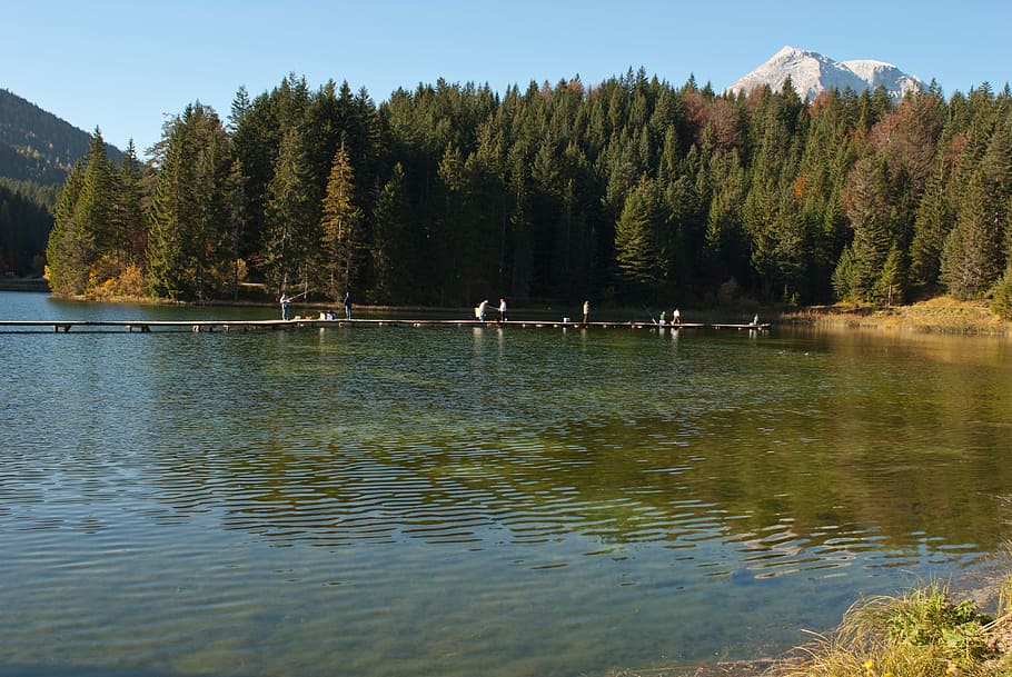 Austria, Forest, Trees, Woods, Sky, clouds, lake, water, mountains HD wallpaper