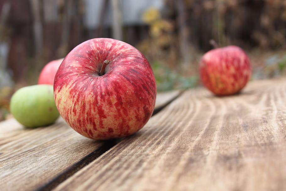 apples, fruit, red apple, green apple, food and drink, healthy eating HD wallpaper