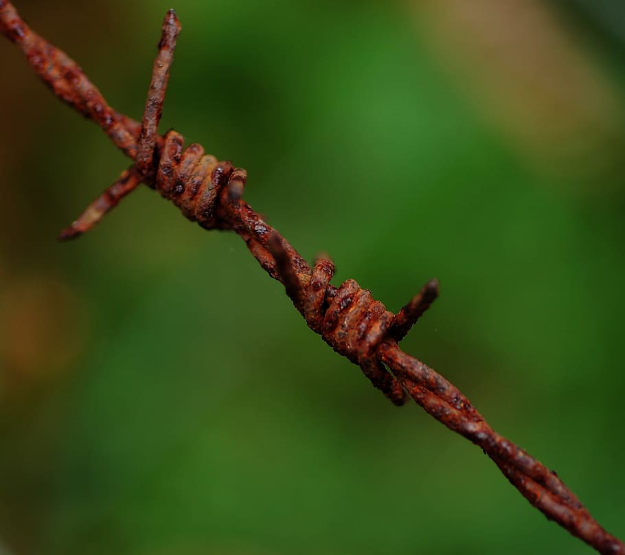 Barbed Wire, Oxide, Green, Rust, Iron, no people, close-up HD wallpaper