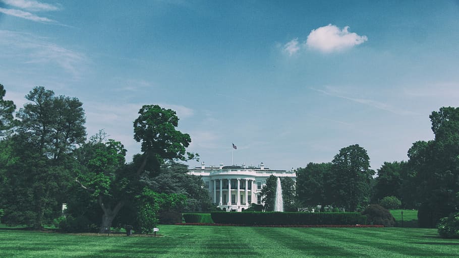 Washington DC White House, nature, tree, outdoors, no People HD wallpaper