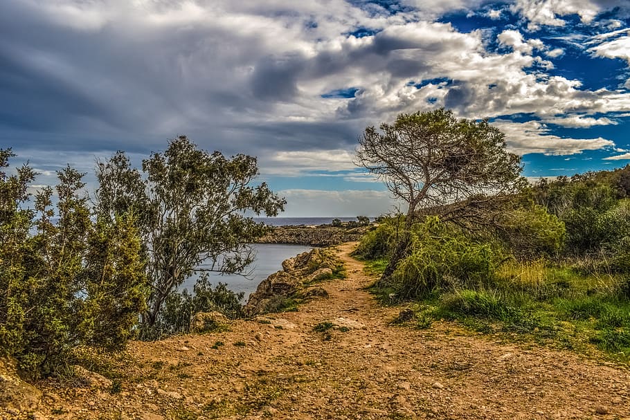 green leaf trees and grass on cliff by the sea under cloudy sky HD wallpaper